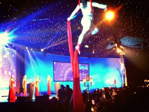 aerial silks